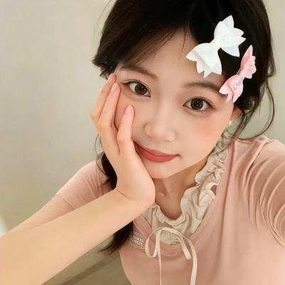 叛碟