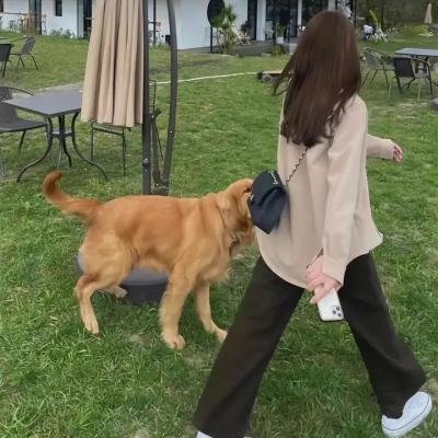 小逃犯